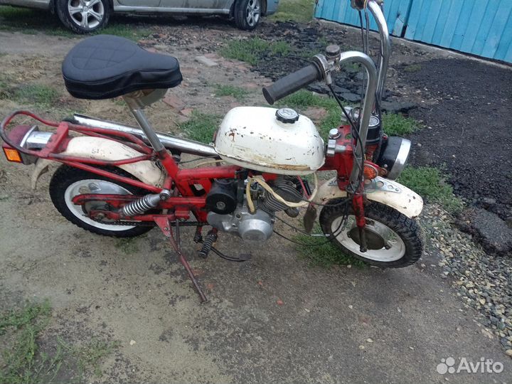 Рига мини 30