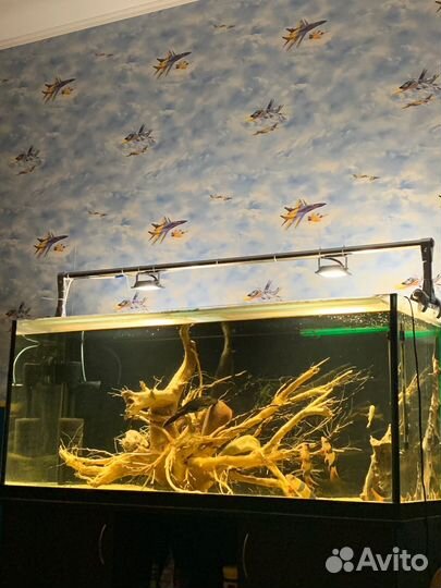 Аквариум 300 л