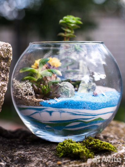 Флорариум с тигром и живыми суккулентами