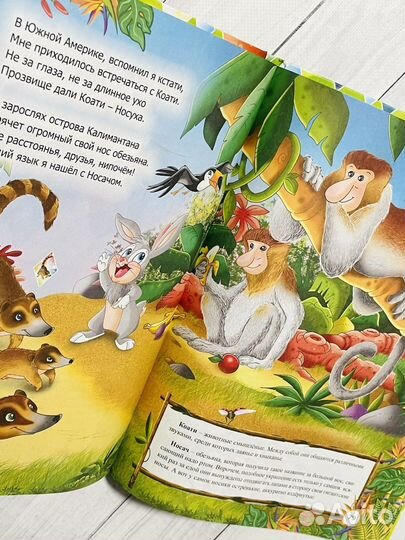 Необыкновенная книга об удивительных животных 4D