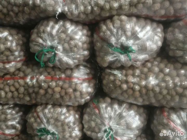 Грецкий орех