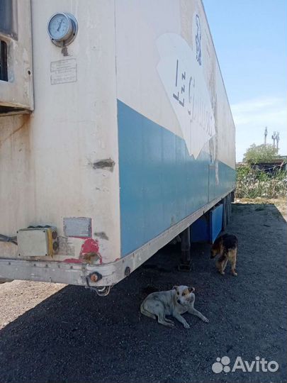 Полуприцеп рефрижератор Chereau Carrier Maxima 1300, 1996