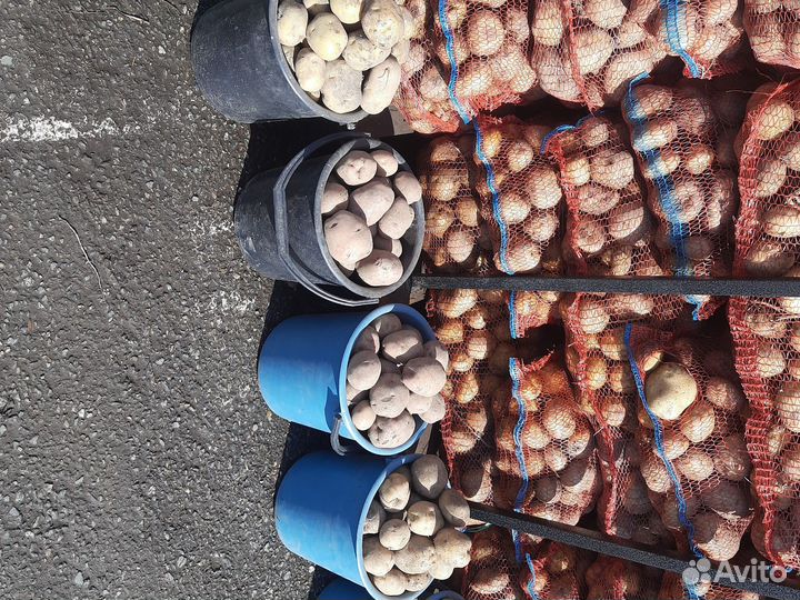 Продам картофель доставка бесплатно