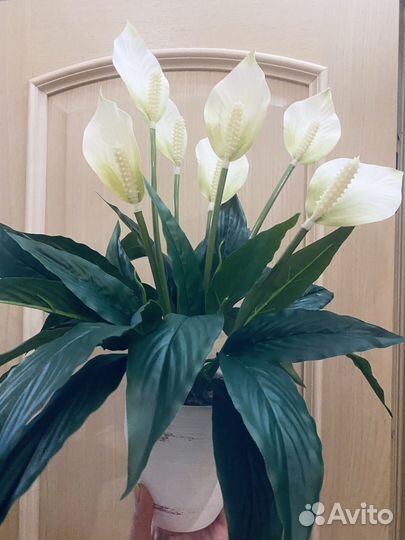 Искусственные цветы растения спатифиллум антуриум