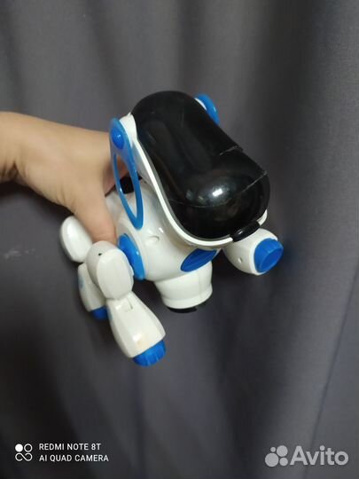 Собака робот