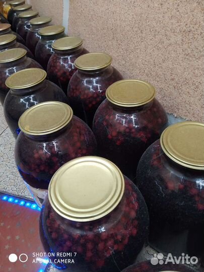 Компот домашний