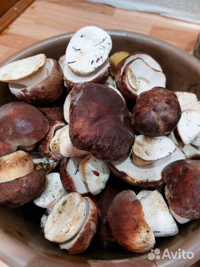 Белые грибы свежие