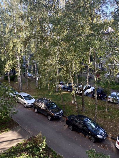 1-к. квартира, 31,3 м², 3/5 эт.