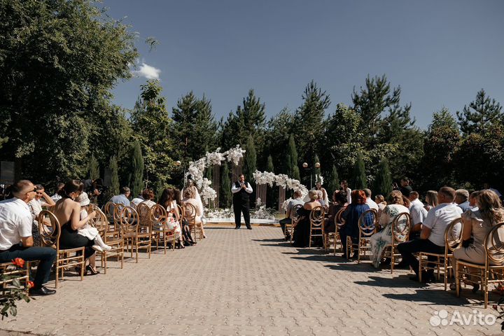 Ведущий и организатор мероприятий