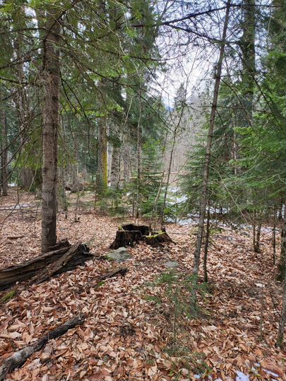 Участок 29 сот. (СНТ, ДНП)