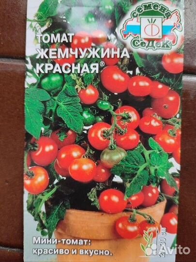 Рассада томатов для балкона и открытого грунта