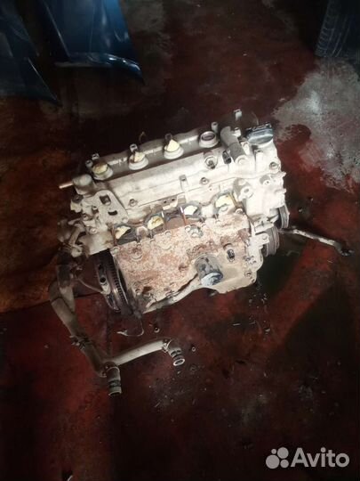 Двигатель nissan primera p12 1.6