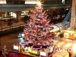 Новогодний тур в Янцзы С 29.12-05.01.2025