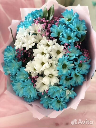 Хризантема