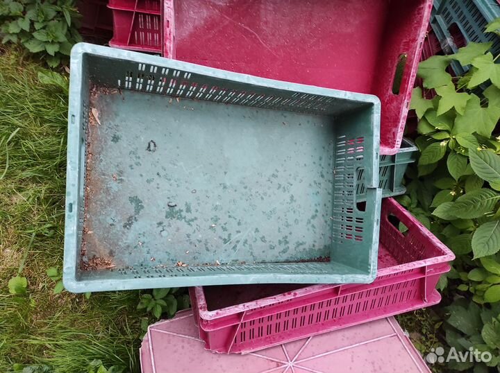 Пластиковые ящики для овощей бу