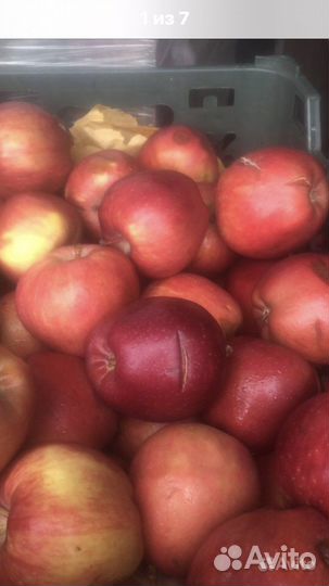 Приму в дар овощи и др. Пищевые отходы