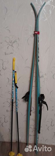 Беговые лыжи