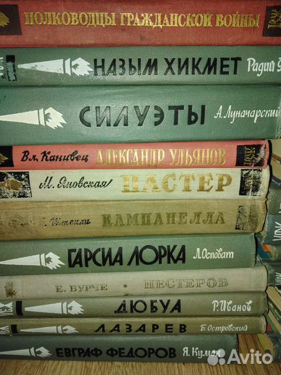 Книги из серии жзл