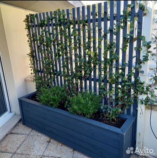 Кашпо Amsterdam