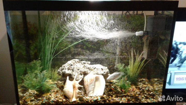 Аквариум с тумбой 100л