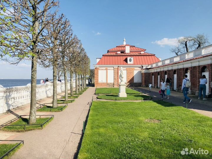 Чернозем Плодородный Грунт