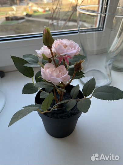 Искусственные цветы и кашпо IKEA