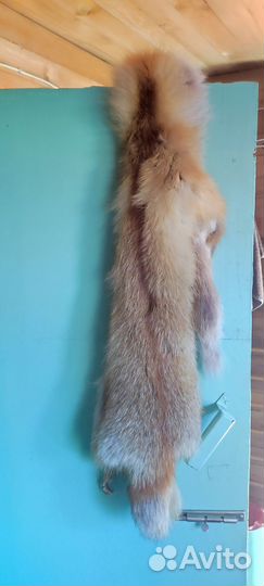 Шкурка животного Лиса