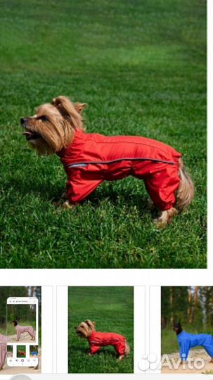 Комбинезоны для собак, неликвид