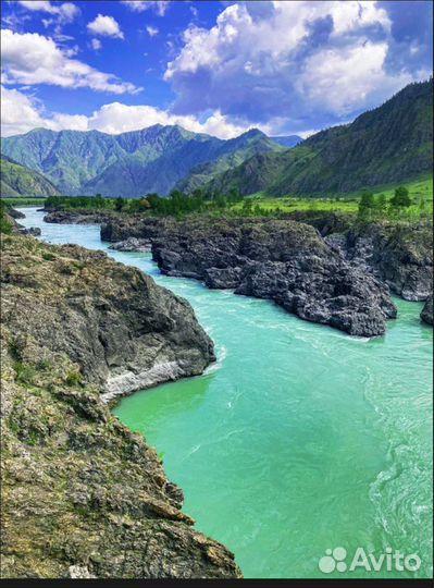 Отдых на Алтае