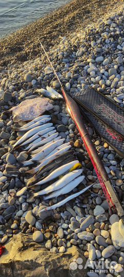 Обучение и сопровождение подводной охоты