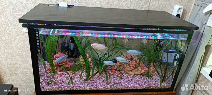 Аквариум