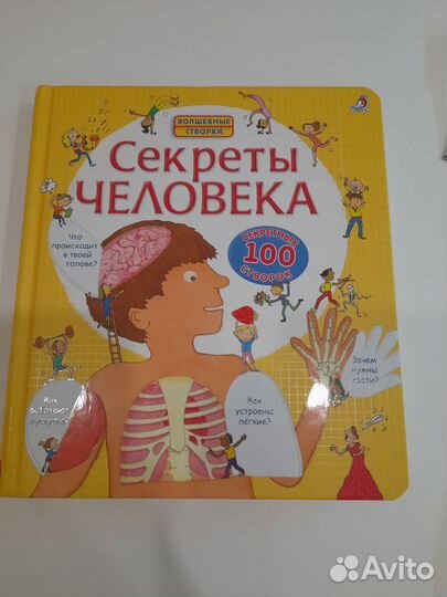 Детская книжка с окошками