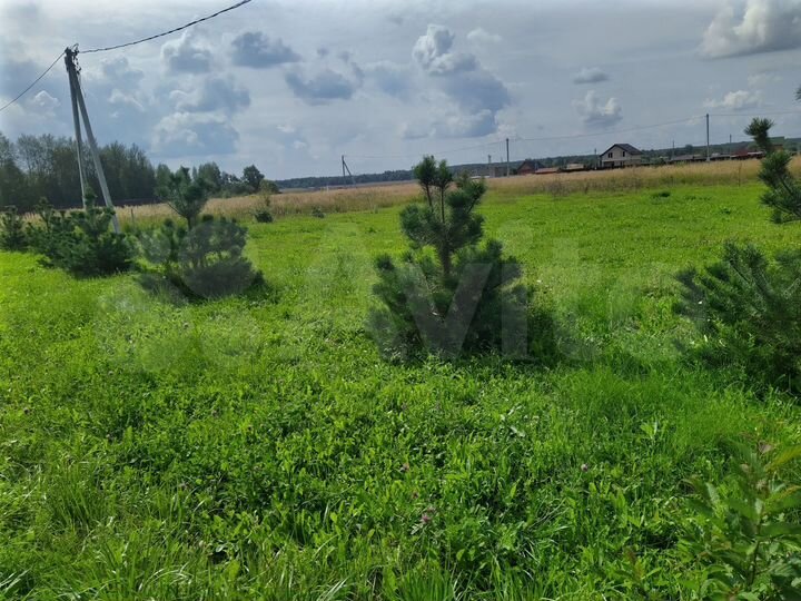 Участок 11,6 сот. (ИЖС)