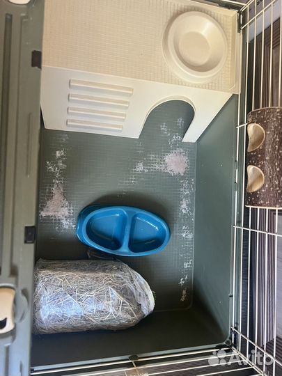 Клетка для декоративного кролика, морской свинки