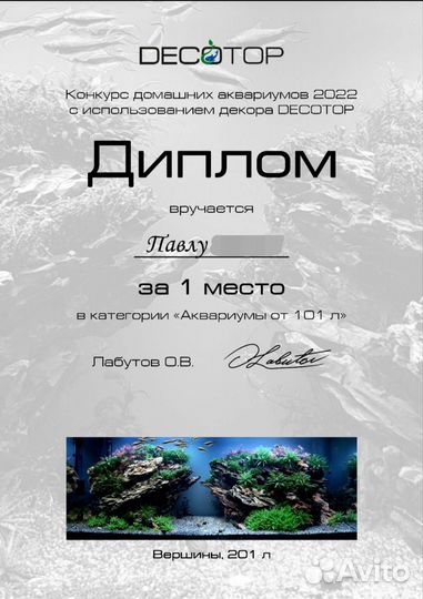 Аквариумные растения