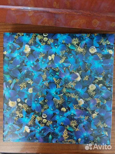 Фотоальбом СССР новый