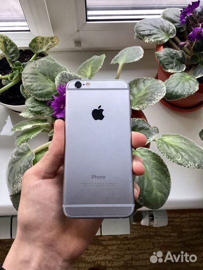 iPhone 6, 64 ГБ