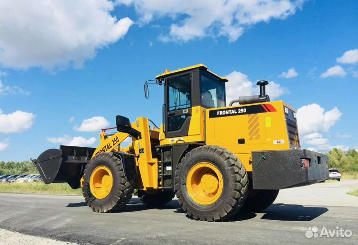 Фронтальный погрузчик Frontal 250, 2022