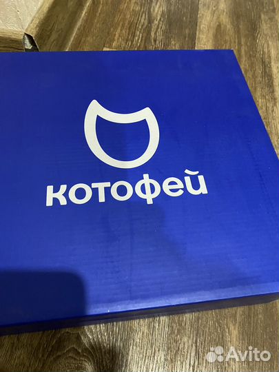 Зимние сапоги котофей