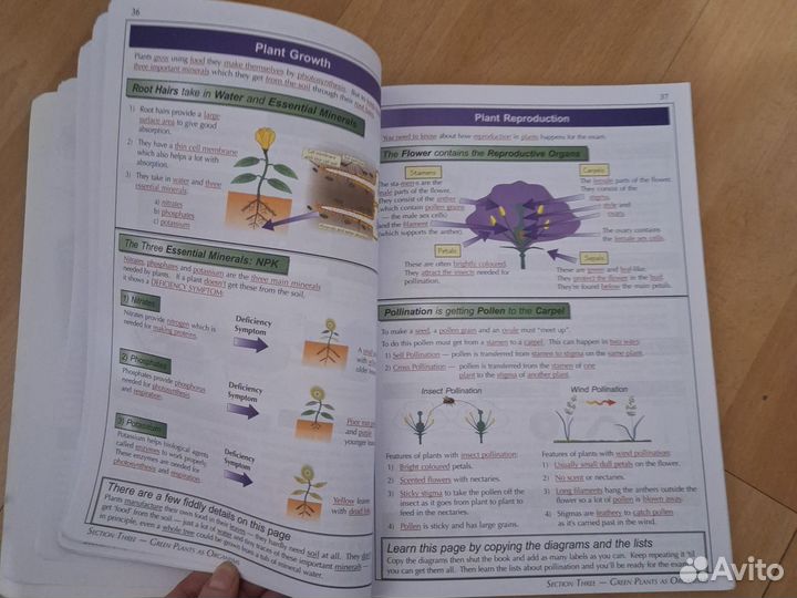 Книга для британских школ Science KS 3