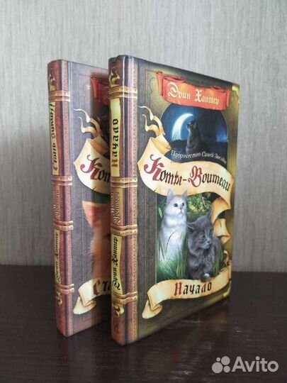 Эрин Хантер. Коты-воители