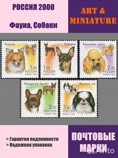 Россия 2000 Фауна Декоративные собаки