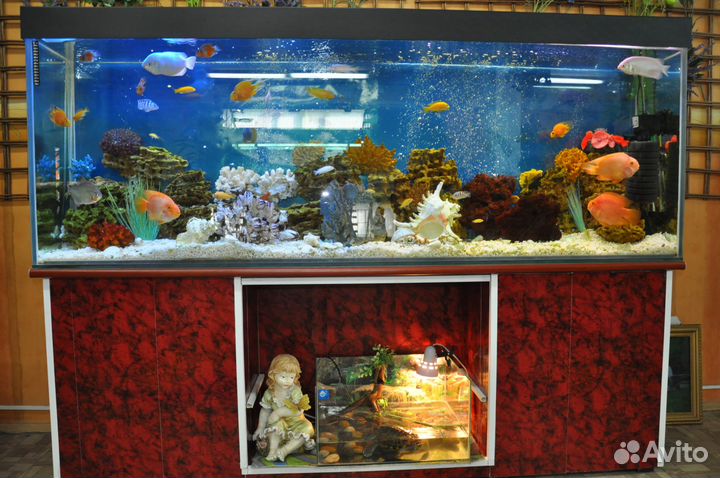 Аквариумы любых форм и размеров