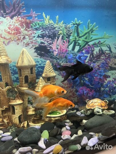 Аквариум с тумбой
