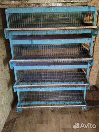 Клетки для перепелов бу