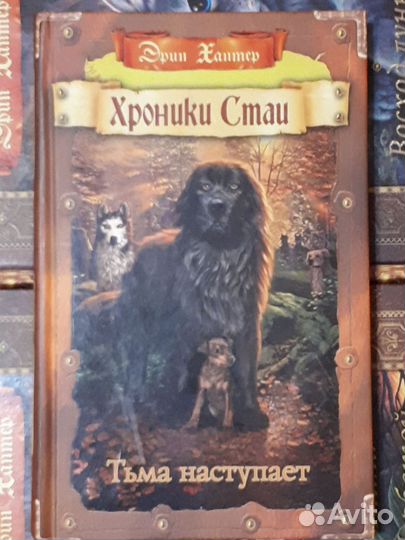 Коты-Воители