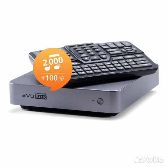 Evolution Evobox Graphite караоке система для дома
