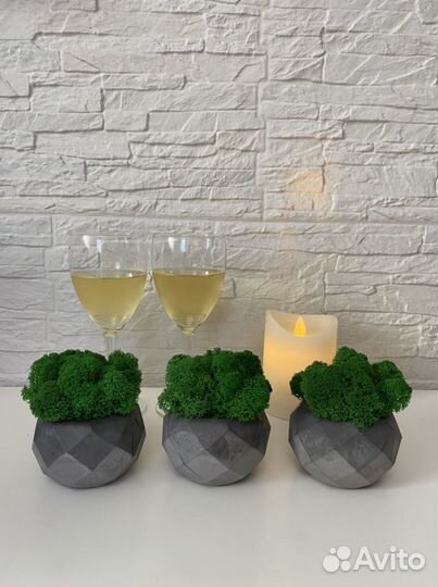 Кашпо из бетона со мхом