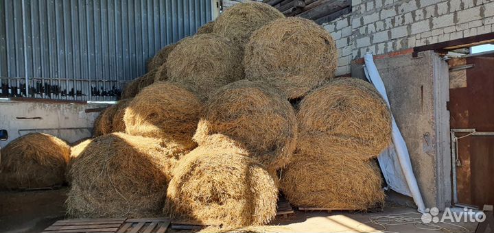 Сено ячменное, солома с подгоном, катушка