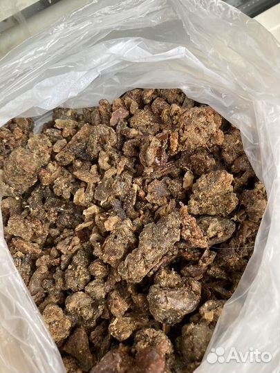 Прополис пчелиный